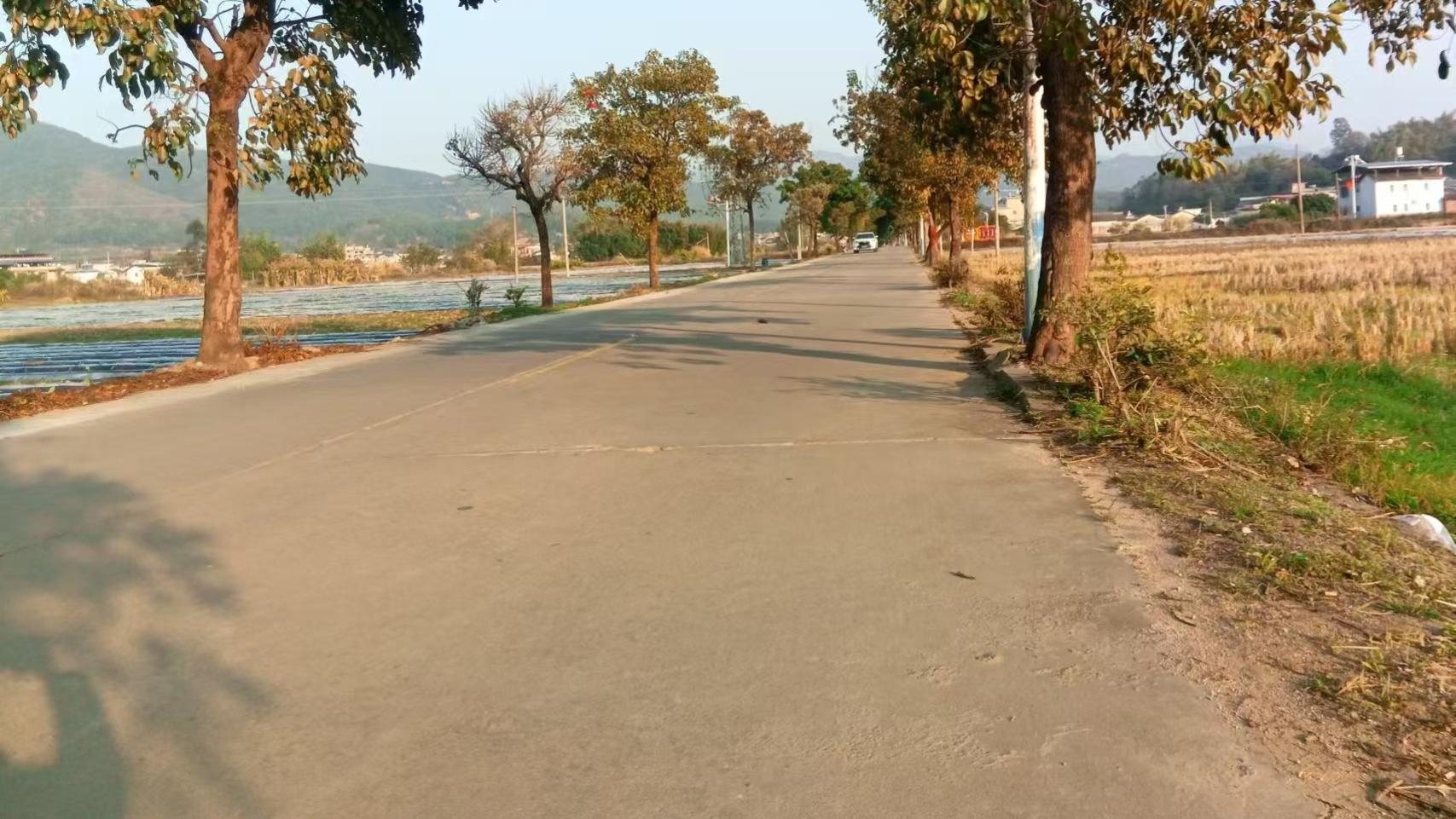 手机壳跌落实测：抗摔性能大公开