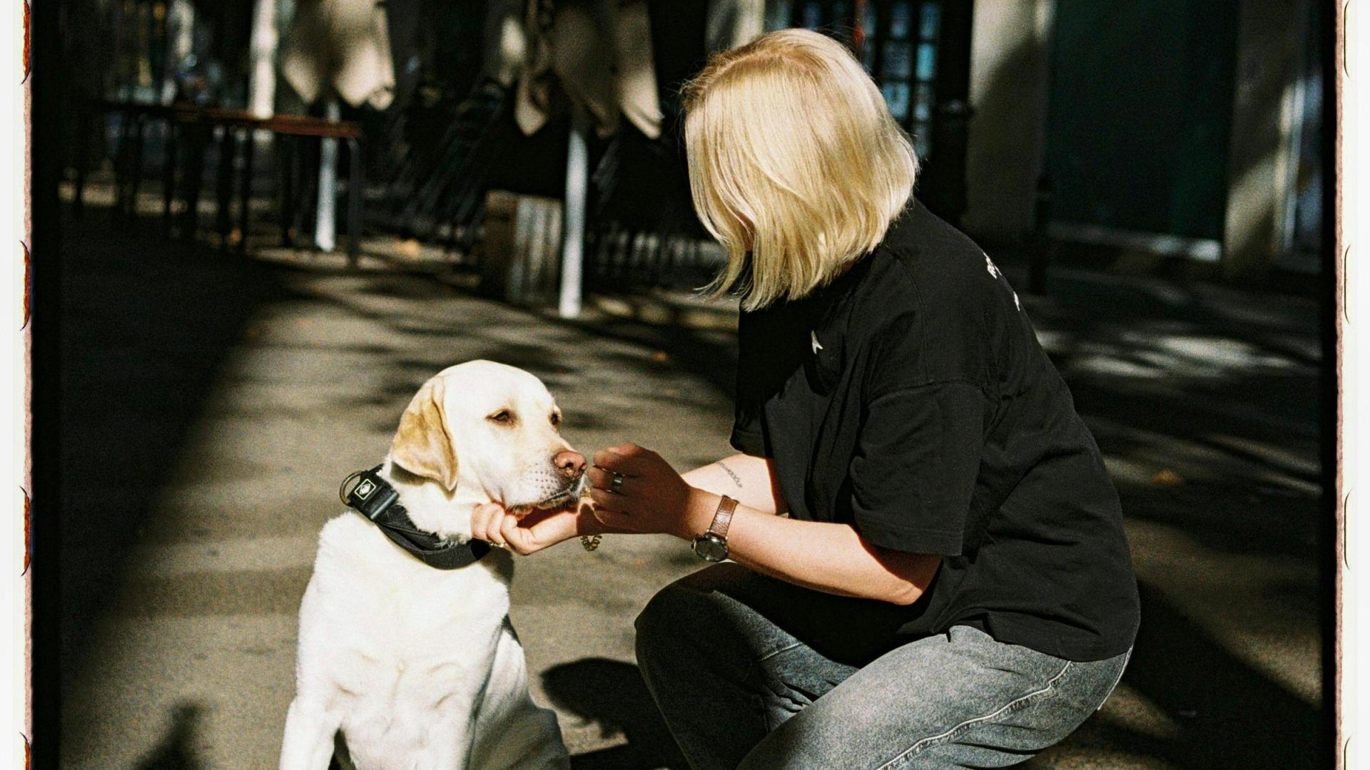 除了金色和蓝色时刻，一天中还有哪些出片的时间段？