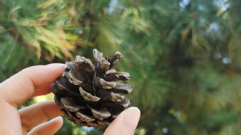 怀孕才懂：情绪上头的那一刻，谁都哄不好