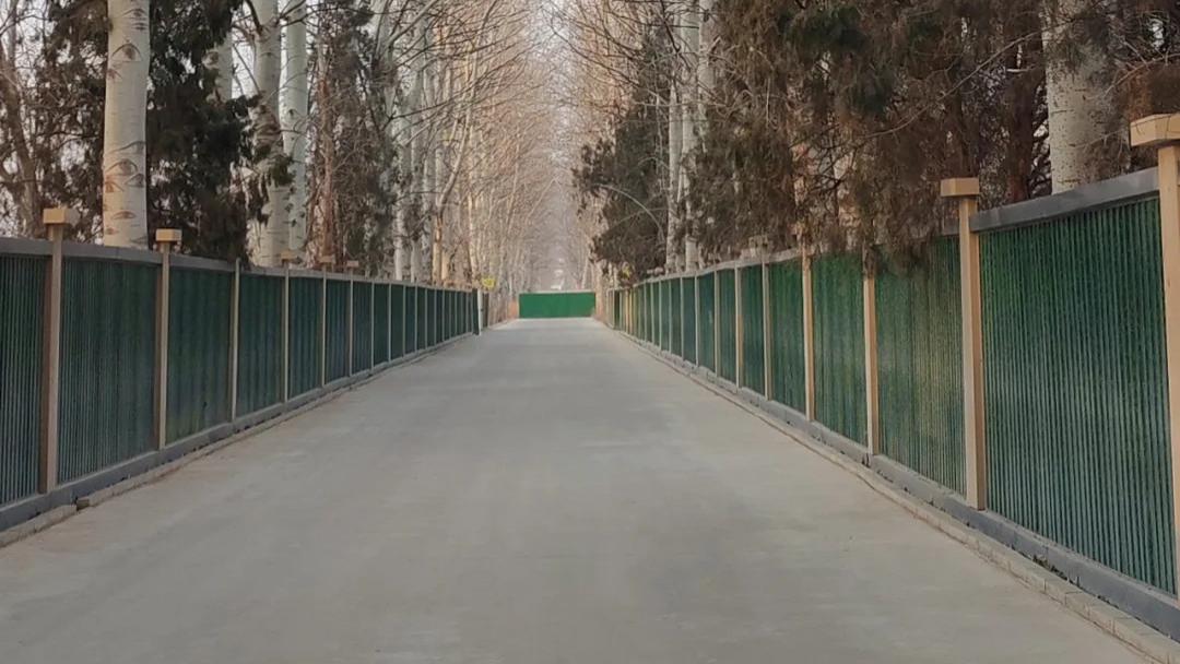 逛遍德州：探秘城东闹市区已经拆迁十余年的城中村现状，里面还藏着二层别墅群