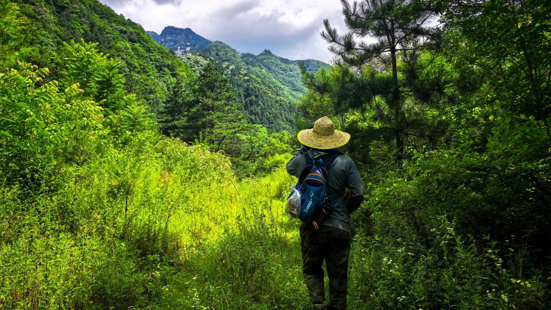 过了秦岭大梁，这里虽繁华不再，但依然是西安避暑消夏的顶流