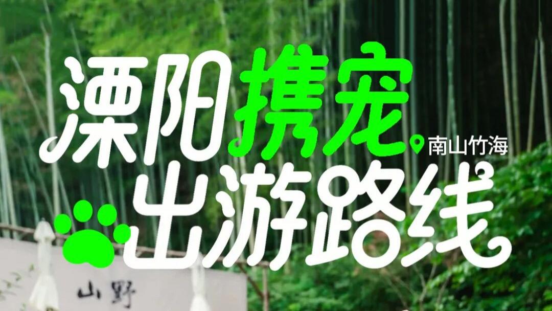 不用做攻略！溧阳带宠物游玩两条经典路线直接抄