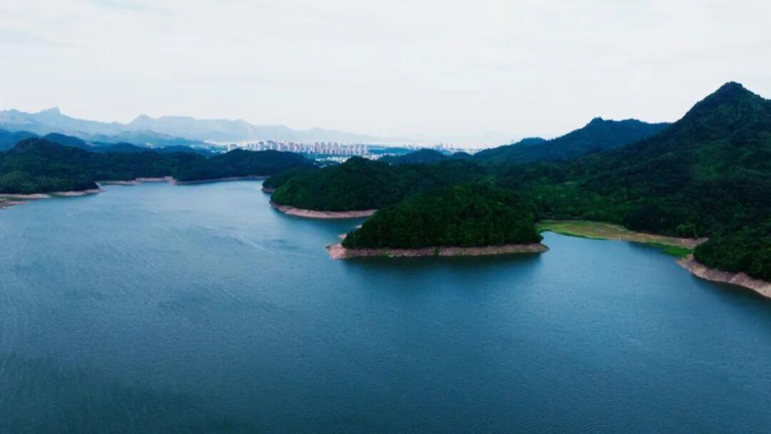 望乡｜浦江曾经的“生命线”