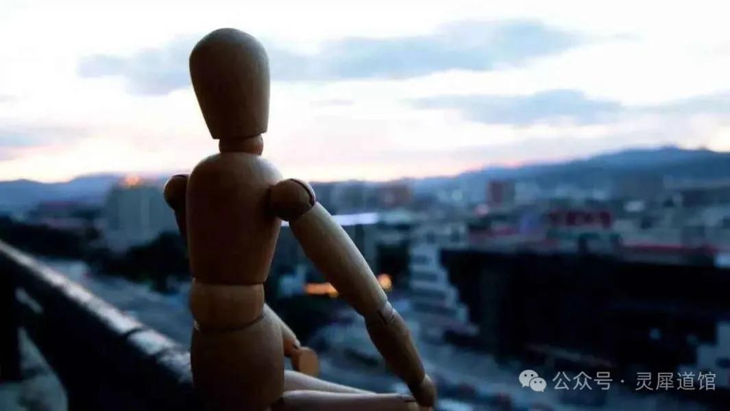 志愿填报指南，看你天生适合哪碗饭，什么专业最对路