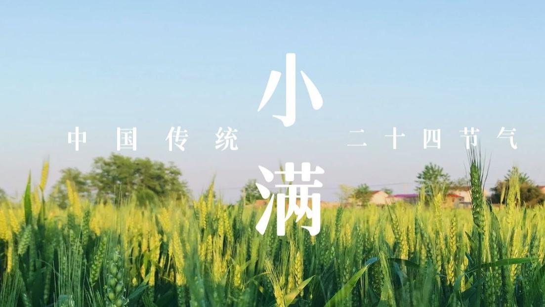 花未全开月未圆，人生最好是小满