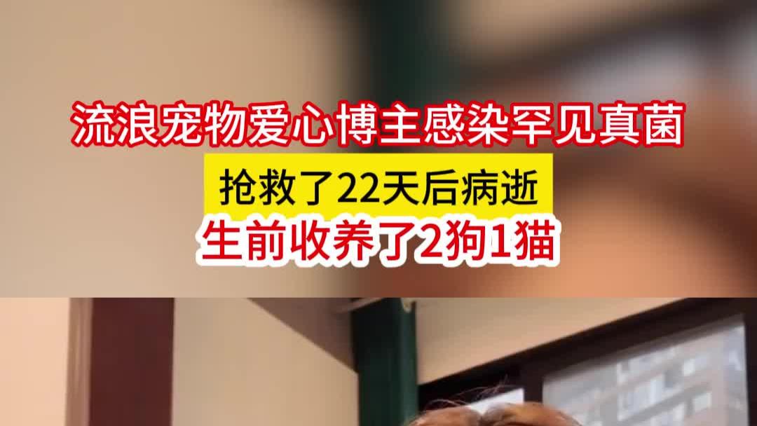 流浪宠物爱心博主感染罕见真菌，抢救22天病逝，生前收养了2狗1猫