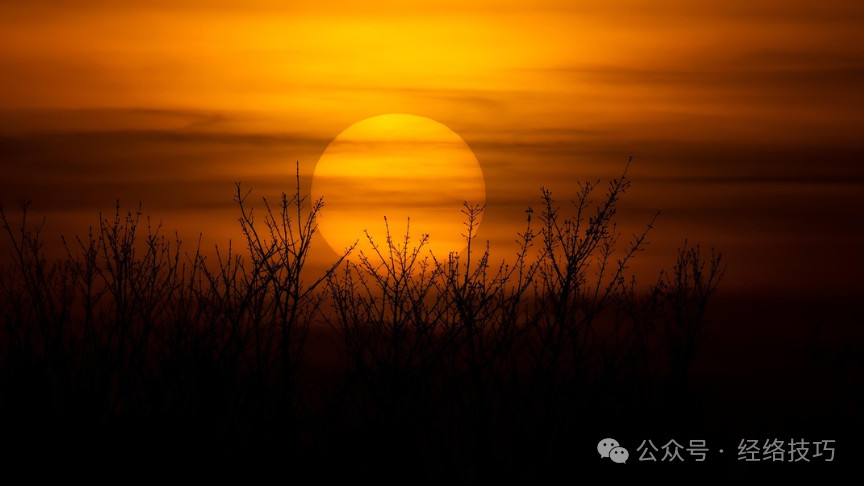 你有“洗屁股”的习惯吗？提醒：坚持每天清洗，或能带来4个好处