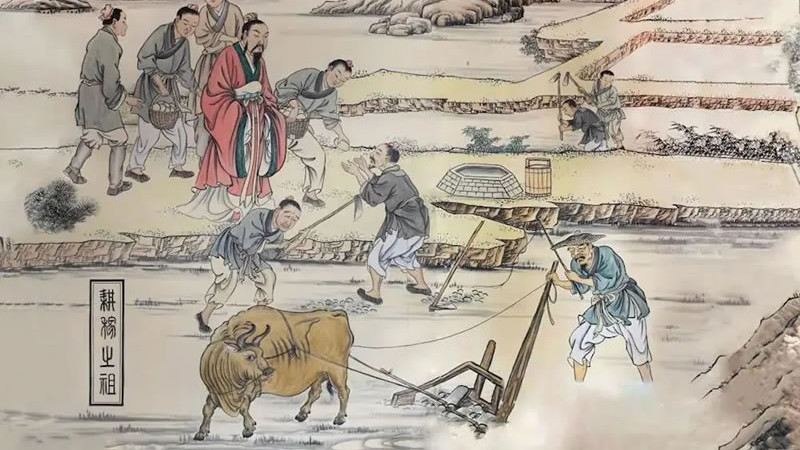 农业科技发展简史：人类农业生产力解放之路