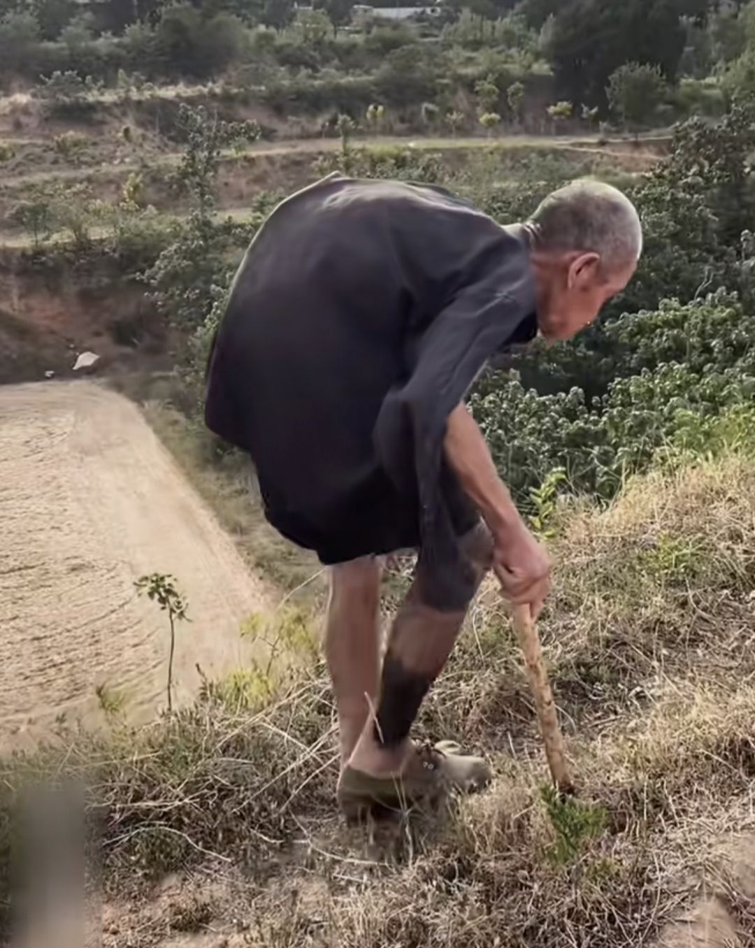 他们知道最后的结果还是土地