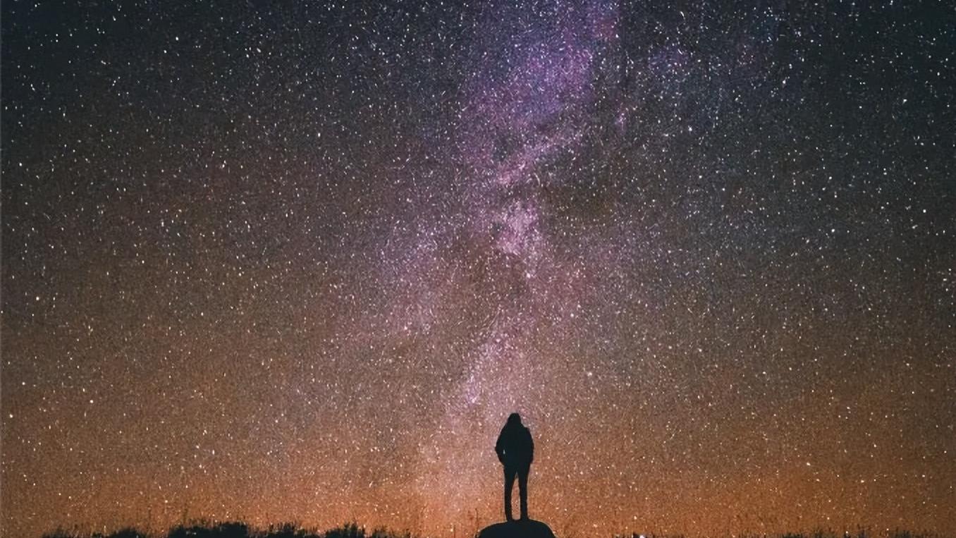 这家中国公司，让哈佛教授坐不住了