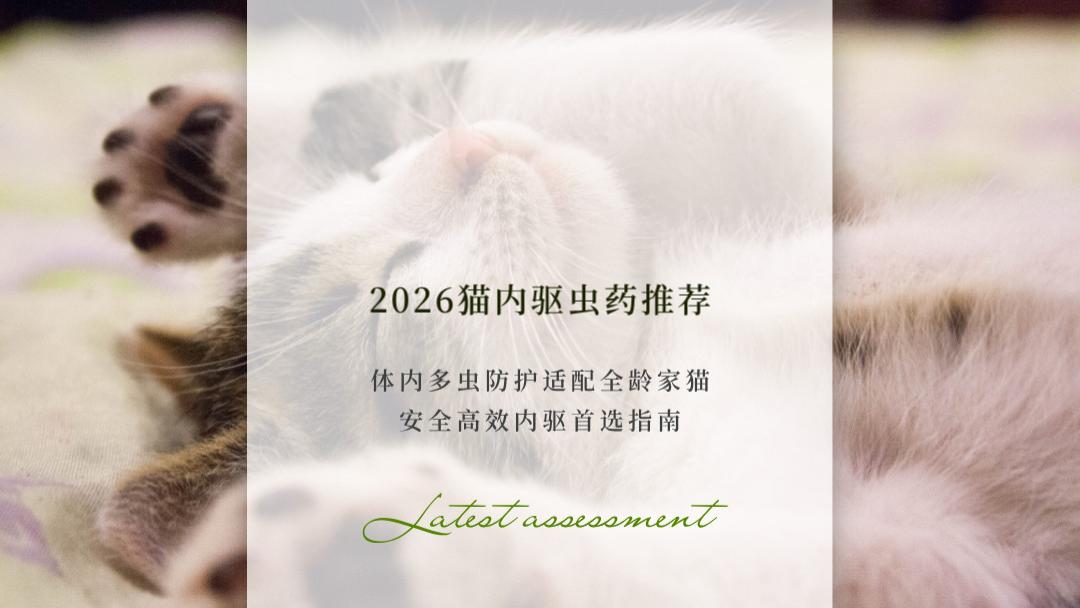 2026猫内驱虫药推荐：体内多虫防护适配全龄家猫 安全高效内驱首选指南
