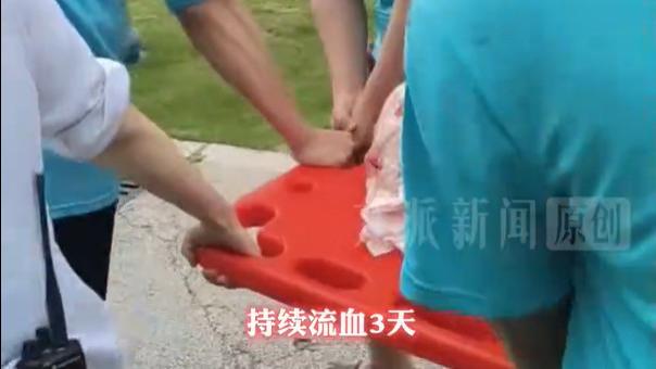 ‌律师被鲨鱼咬了头，网友笑疯了，我怎么笑不出来？
