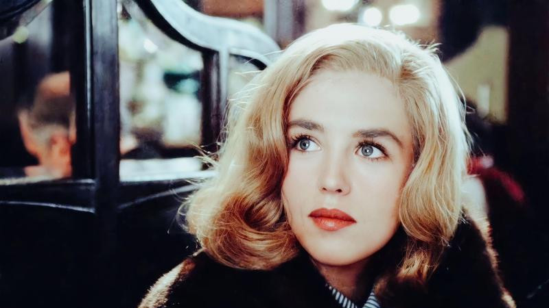 法国公司的类型：探索法国企业的多样形态