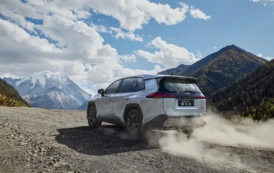 不得不说，丰田绝对把中国消费者研究透了！