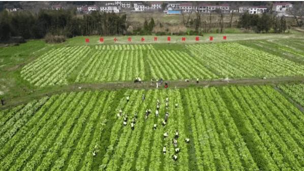 在这个浏阳的网红小乡村，我找到了梅菜扣肉的“门道”