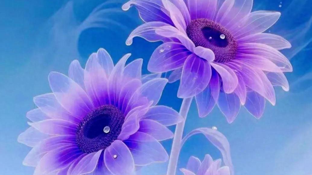 不猜结局，不问归期，只管风雨兼程，自有一路繁花