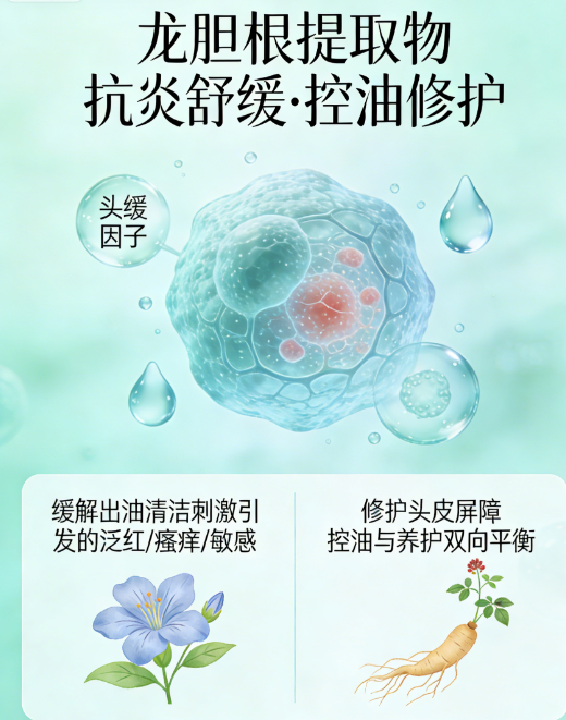重油饮食易致头油 科学护理助头皮恢复健康
