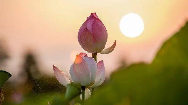 佛说：当“因果”站出来，没有一个人是可怜人