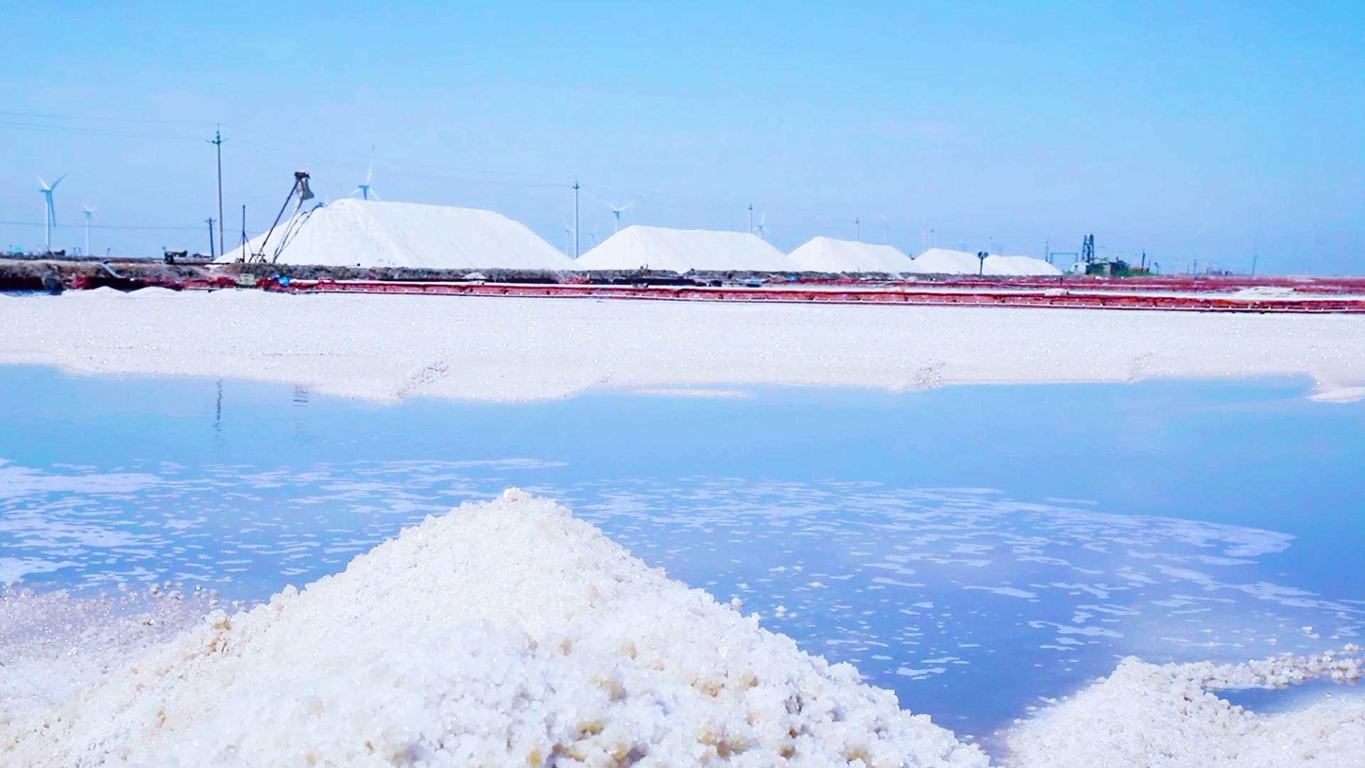 汉沽生态盐场 · 智慧盐田 —— 传承千年的自然智慧 拥抱未来的科技之力