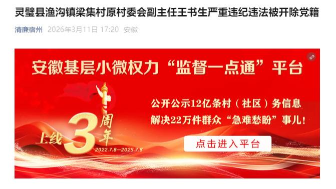 安徽省宿州市灵璧县渔沟镇梁集村原村委会副主任王书生被查，赋史记·王书生列传