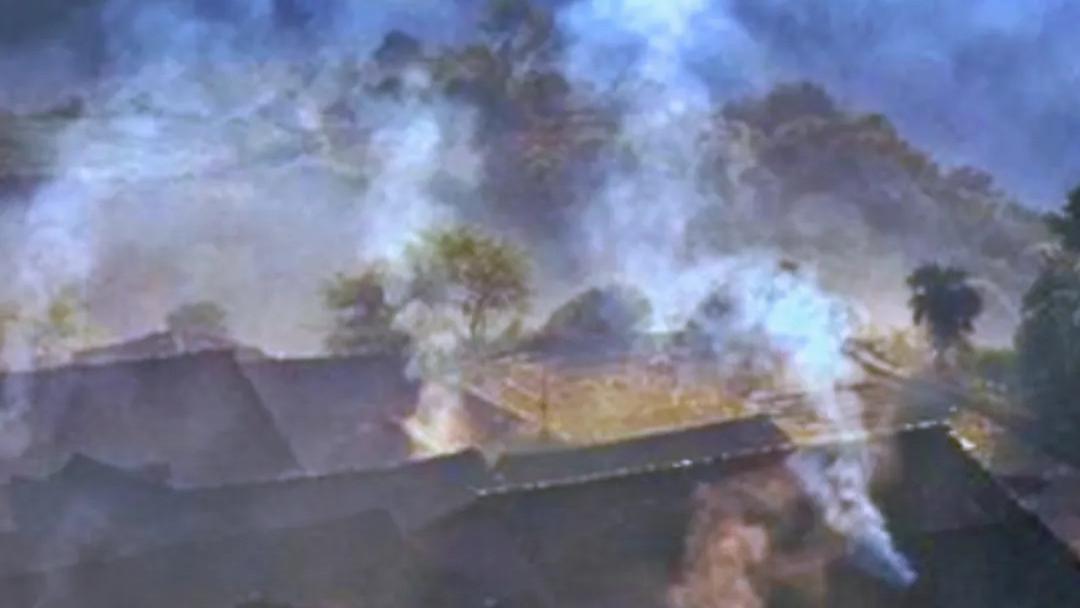 《母亲之爱》系列散文之四：母亲，儿女生命的总设计师