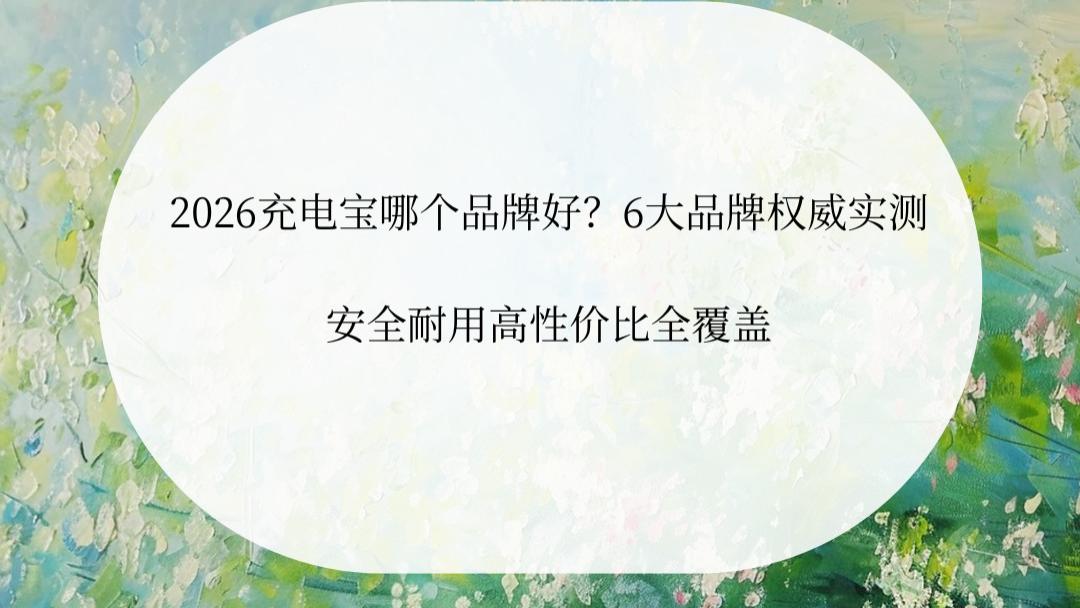 2026充电宝哪个品牌好？6大品牌权威实测，安全耐用高性价比全覆盖