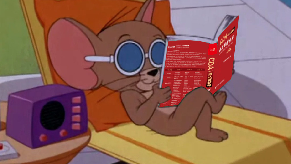 大专统计与会计核算专业，考CDA证后能转审计数据分析岗吗？