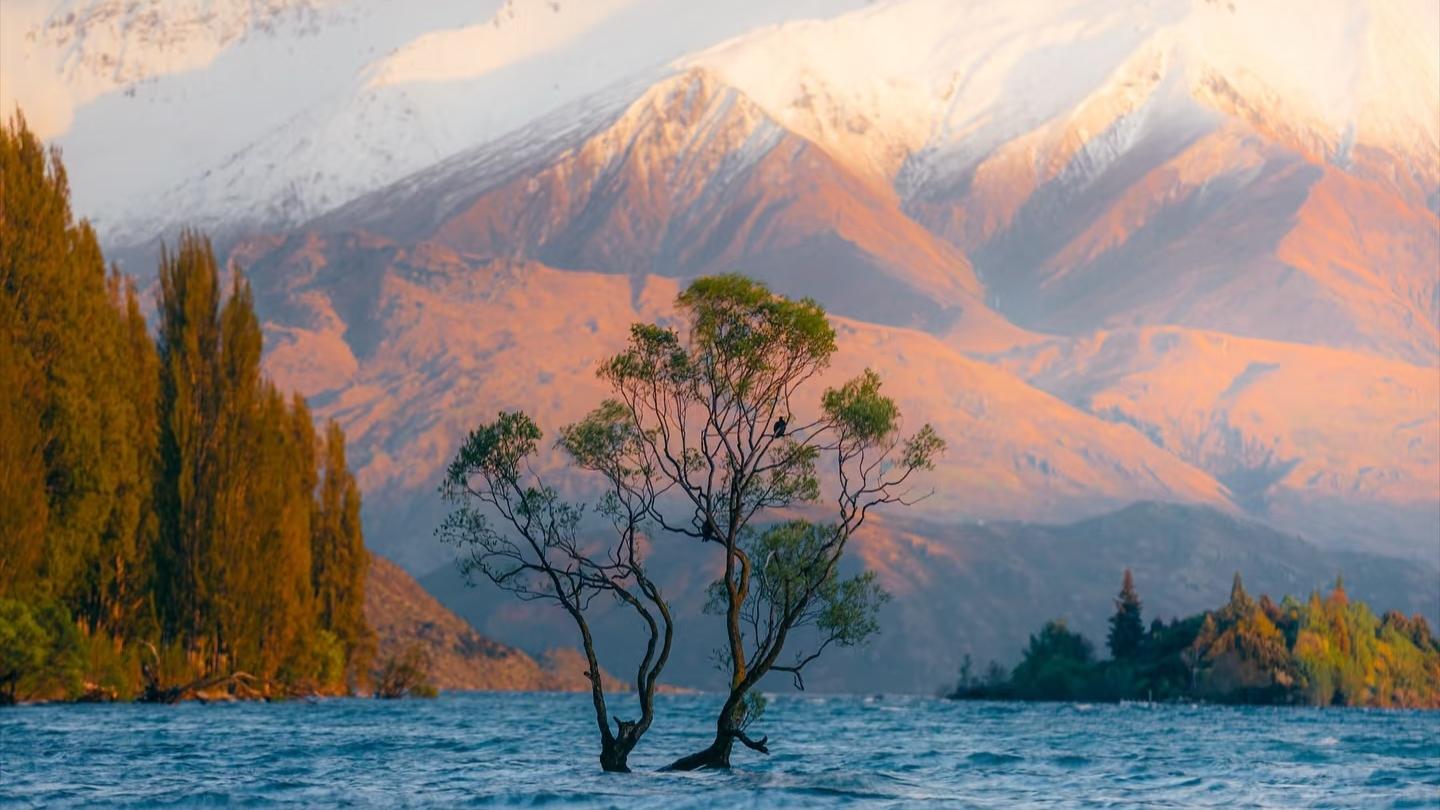 大家好，今天正式加入大鱼了，请多多关照！