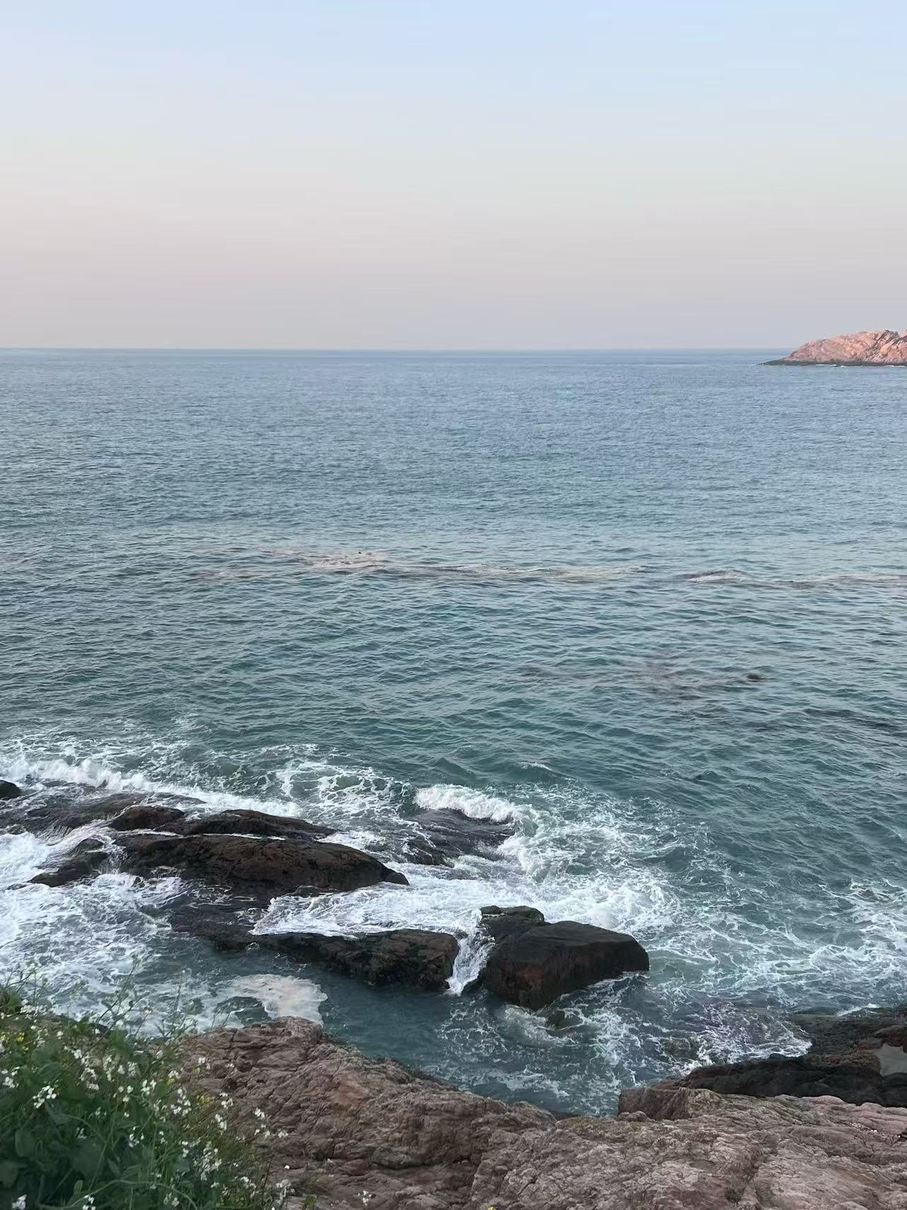浙江旅游，小众海岛花鸟岛攻略！