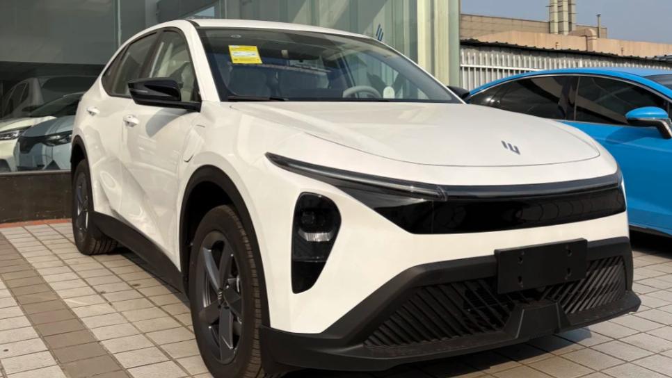 10万内纯电车卷到没朋友！现在买车，不止看低价