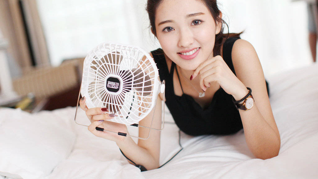 风扇什么牌子好性价比高？能闭眼入手的小风扇十大公认品牌，不看完真的会后悔！