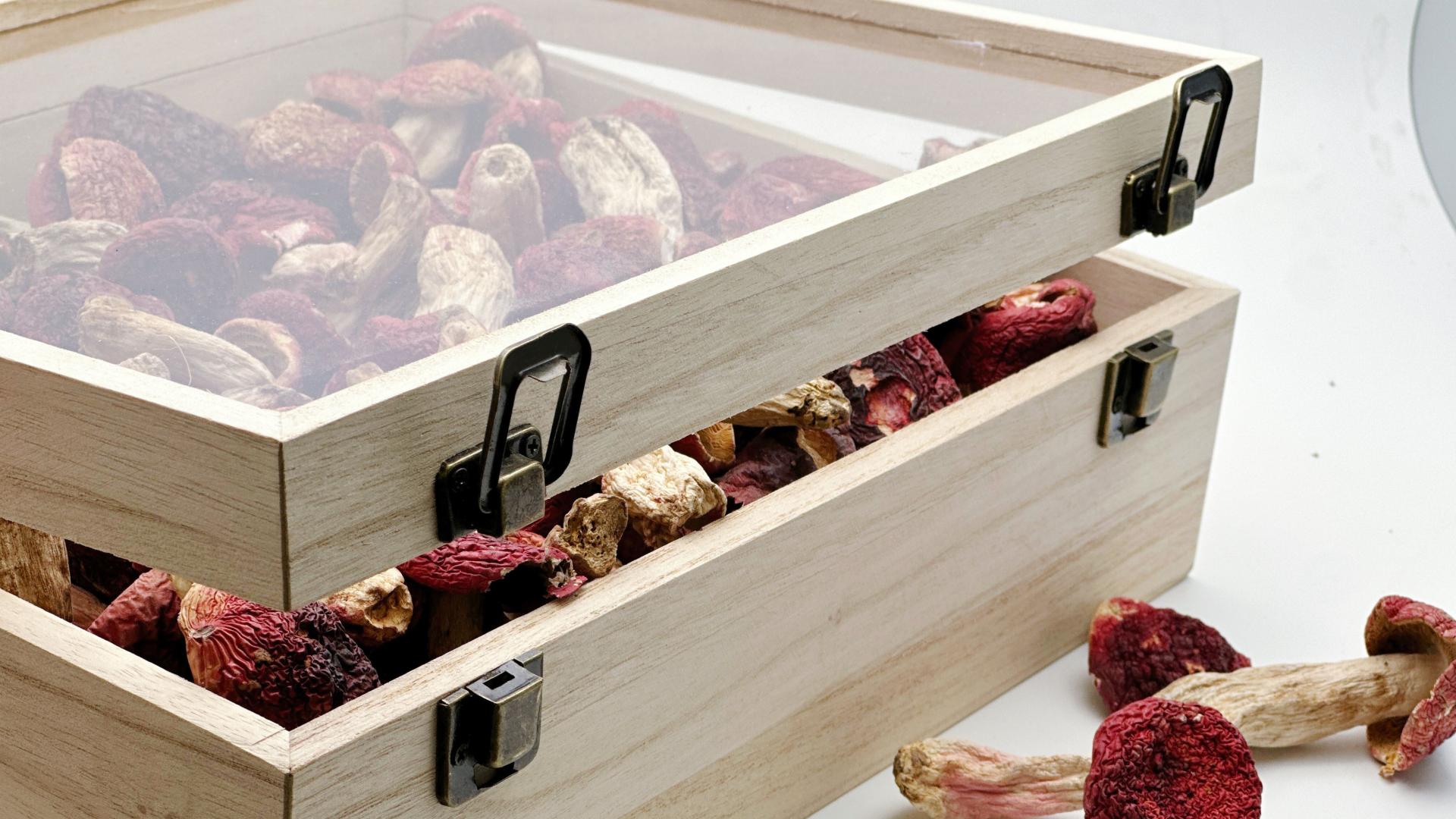 新春礼序，以礼传心——礼赠指南