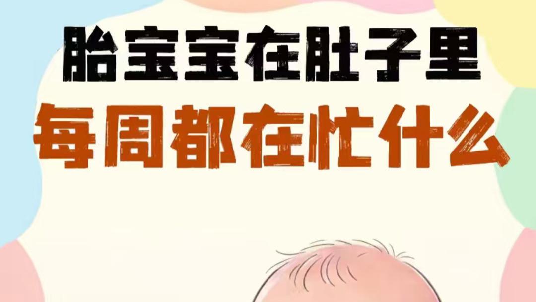 从一颗小芝麻到伸腿瞪眼，胎宝宝在妈妈肚子里的十个月可太忙了