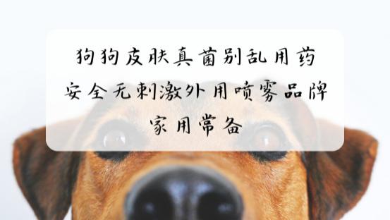 狗狗皮肤真菌别乱用药 安全无刺激外用喷雾品牌家用常备