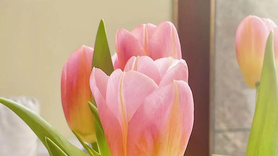 自费出书之后，书到底卖到哪里去？有哪些销售渠道？