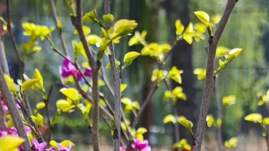 随笔：我见青山多妩媚，料青山见我应如是（三章）