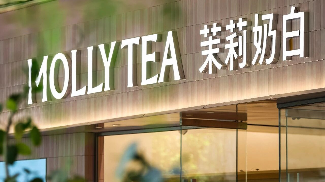 茉莉奶白加盟新政：新商低门槛入局，多店高福利深耕