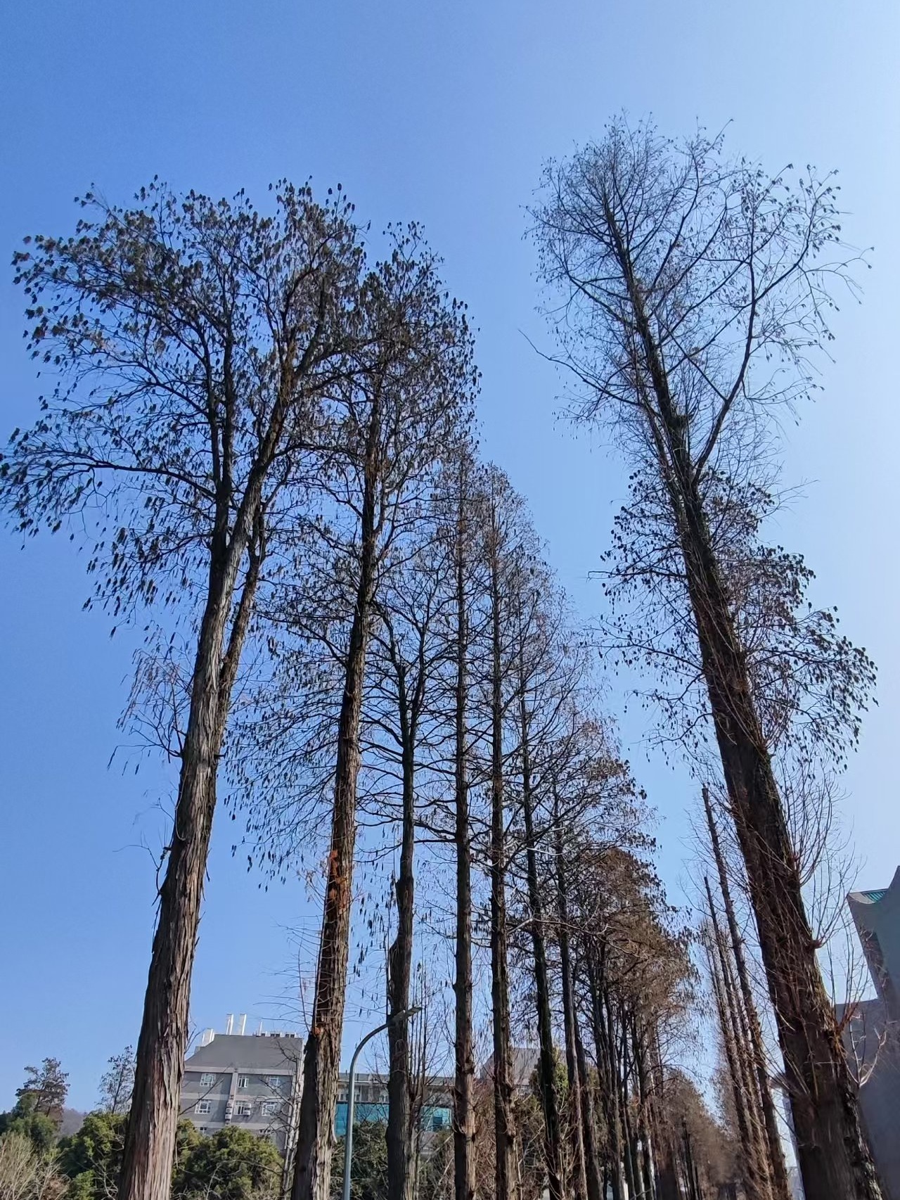 选对产品=成功一半？我多么痛的领悟