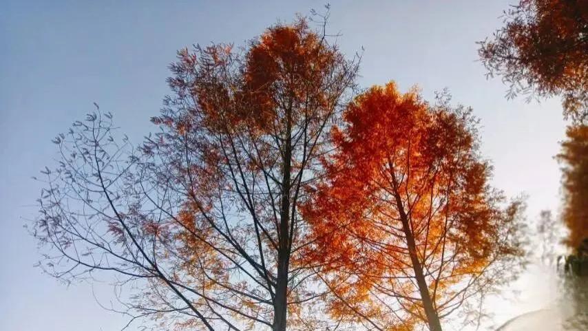 随笔：一年始发，纵马踏花向心行