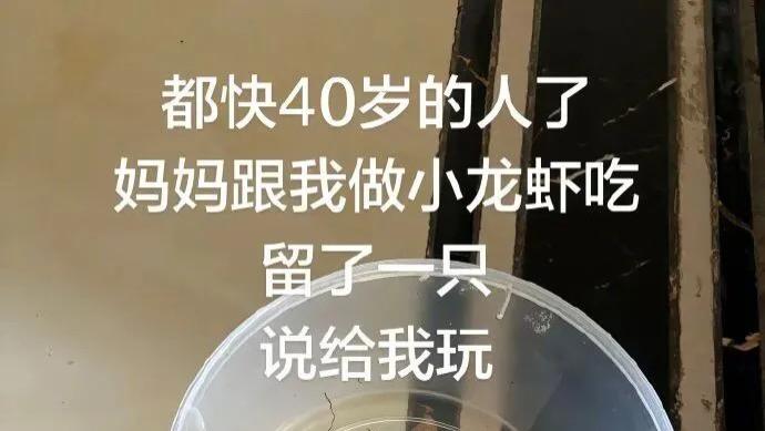 搞笑图集 | 爱情也许会辜负你，但美食不会