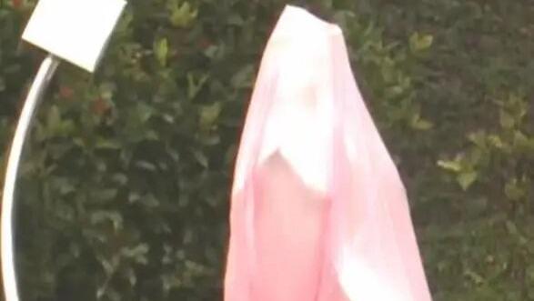 大S雕像揭幕，言承旭周渝民冒雨现身仪式，小S双手合十向苍天祈祷