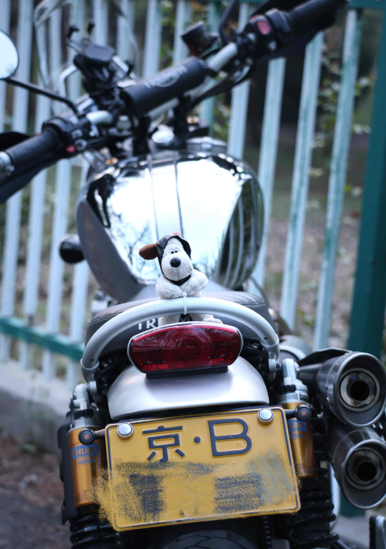 张雪机车火了！近日张雪摩托车参加比赛的消息更是层出不穷。

才发现，骑机车的人多