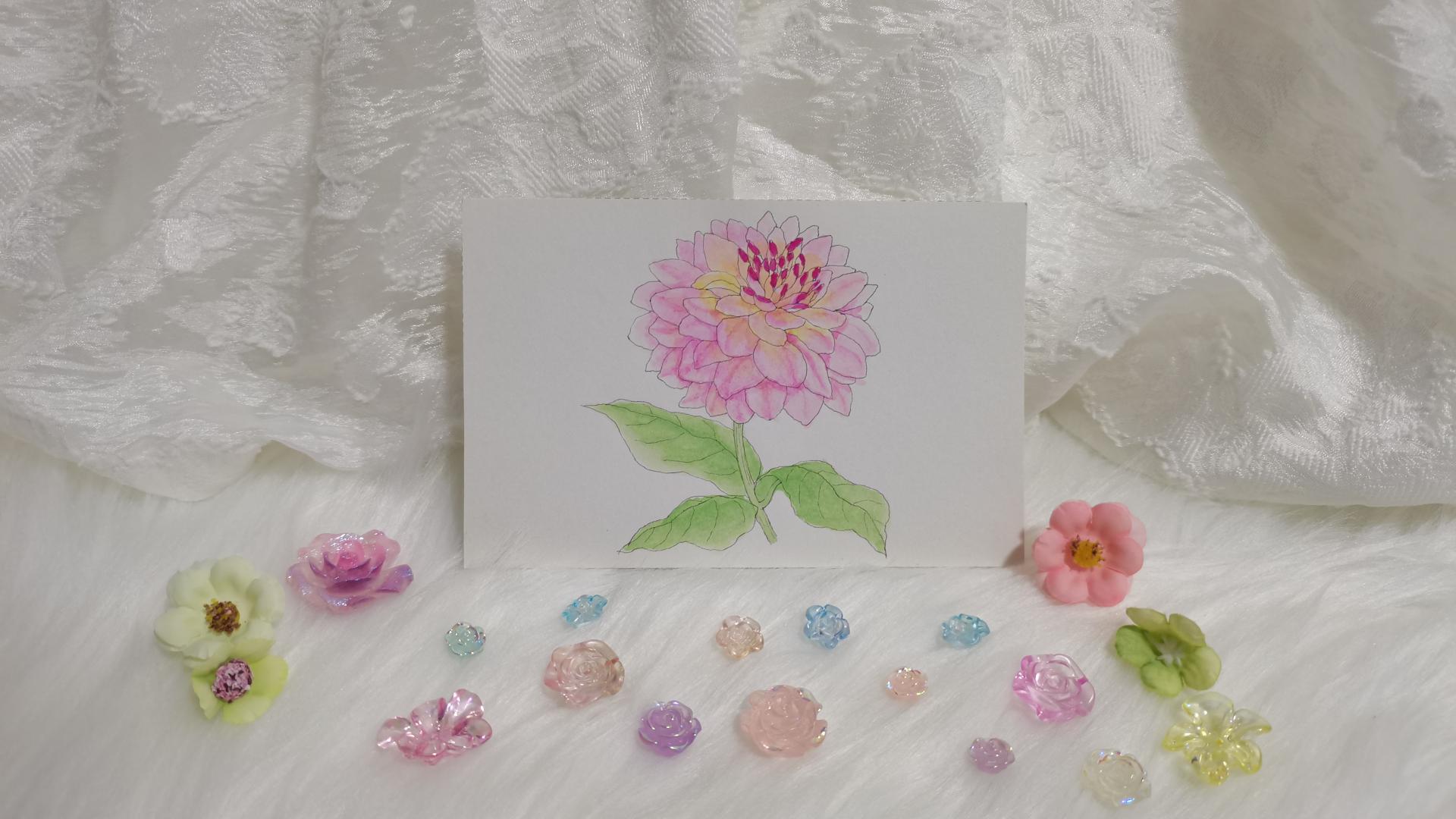 63 大丽花（绘画 水彩 果花甘06）