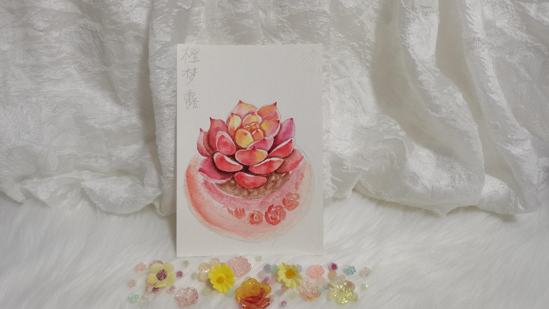 18 水彩橙梦露（果花甘08）
