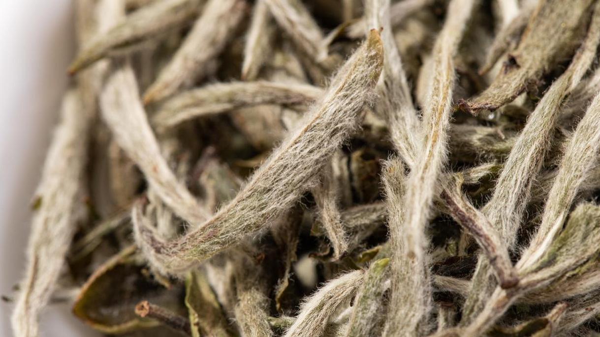 什么是白茶？老白茶靠谱吗？“白”是指颜色吗？全国哪的最好喝？