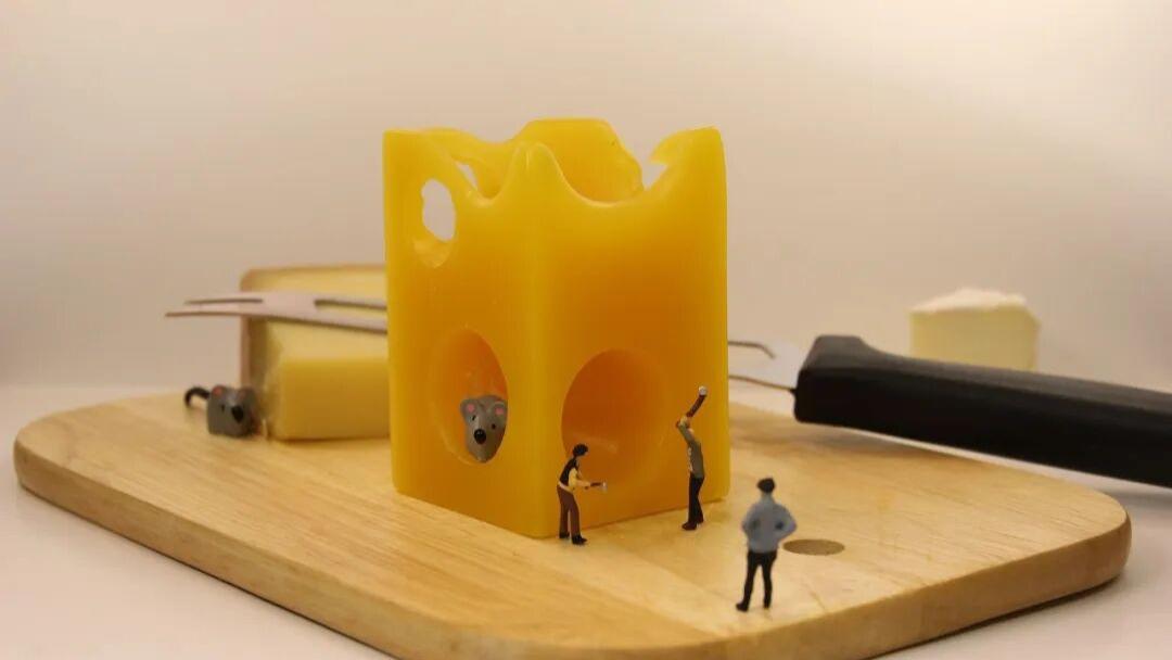 315洞察丨认养骗局卷土重来：老套路为何总有人上当？