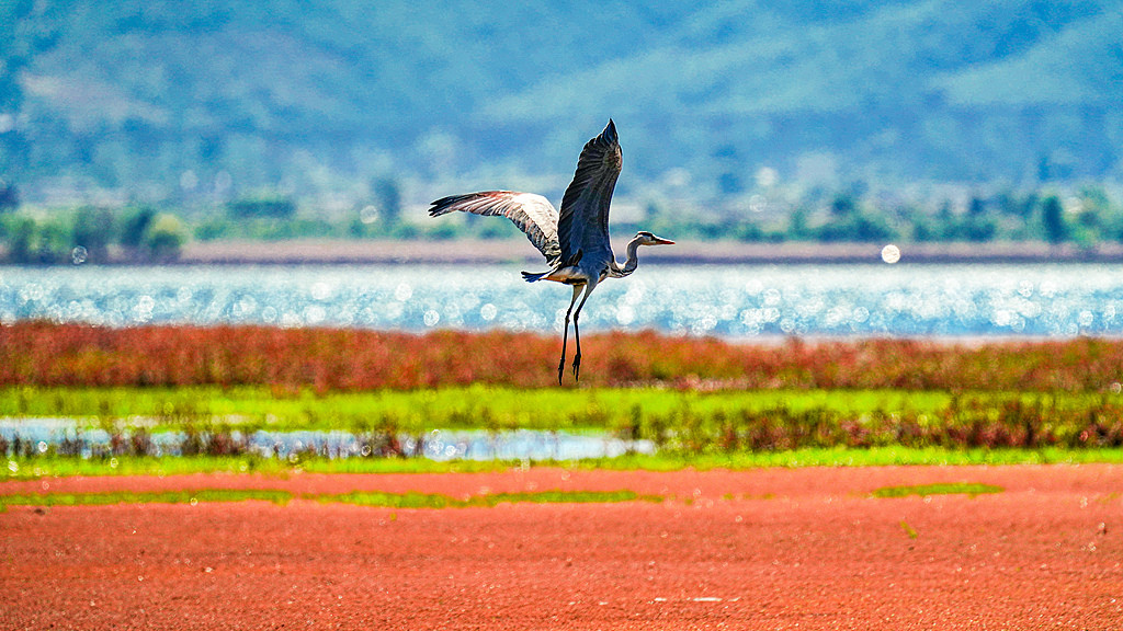 暴跌，这没有什么大不了