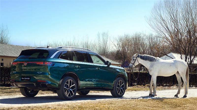 25万买硬核大五座SUV：选揽巡，还是理想L6？