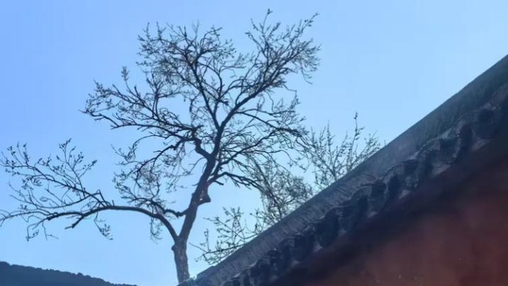 问在空山答在尘：和合真谛的“应答”之魂与三圣圆融考