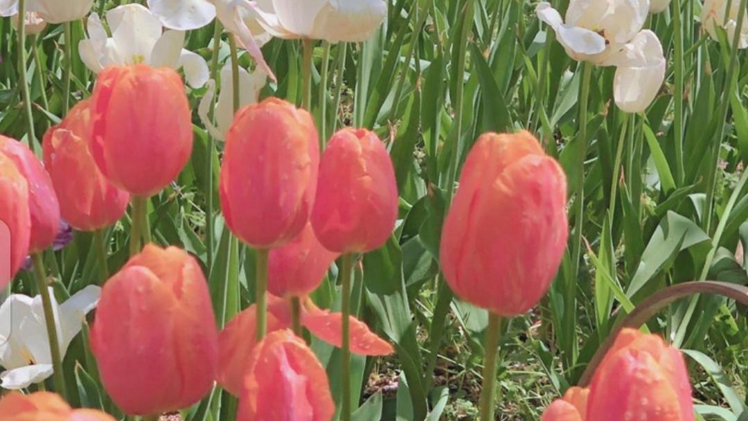 抑郁康复后，我真正懂得了：真正厉害的人，都学会了向内求！